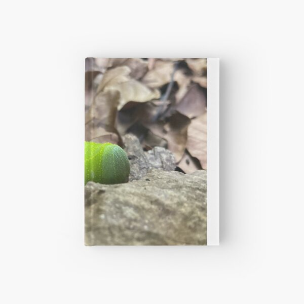 Wildlife Hardcover Journal