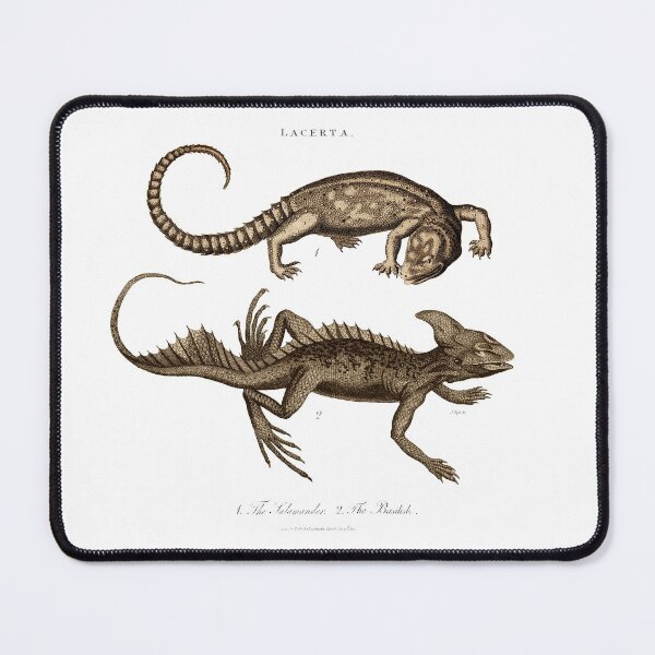 Item preview, Antique Georgian 19th Century Engraving illustration lizard Salamander Basilisk Sepia print designed and sold by CoreImaging.