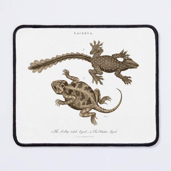 Item preview, Antique Georgian 19th Century Engraving illustration lizard Sepia print designed and sold by CoreImaging.