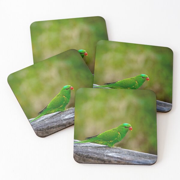 Item preview, Scaly Breasted Lorikeet  designed and sold by ABJPhot.