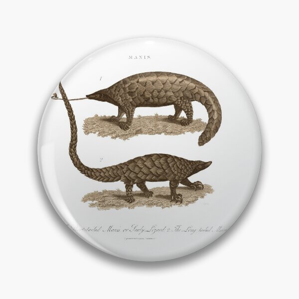 Item preview, Antique Georgian 19th Century Engraving illustration lizard Pangolin Sepia print designed and sold by CoreImaging.