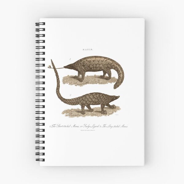 Item preview, Antique Georgian 19th Century Engraving illustration lizard Pangolin Sepia print designed and sold by CoreImaging.