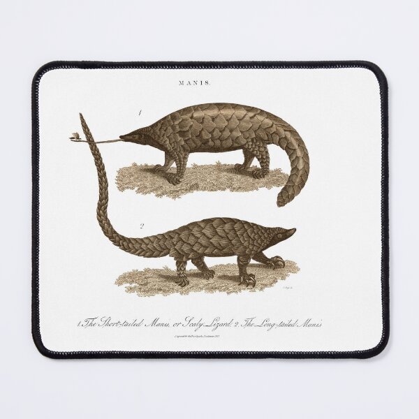 Item preview, Antique Georgian 19th Century Engraving illustration lizard Pangolin Sepia print designed and sold by CoreImaging.