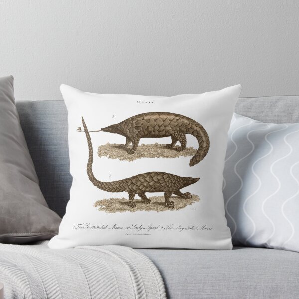 Item preview, Antique Georgian 19th Century Engraving illustration lizard Pangolin Sepia print designed and sold by CoreImaging.