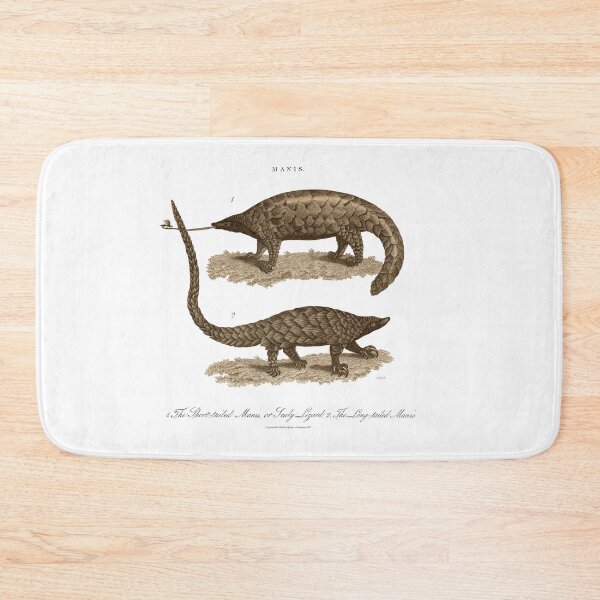 Item preview, Antique Georgian 19th Century Engraving illustration lizard Pangolin Sepia print designed and sold by CoreImaging.