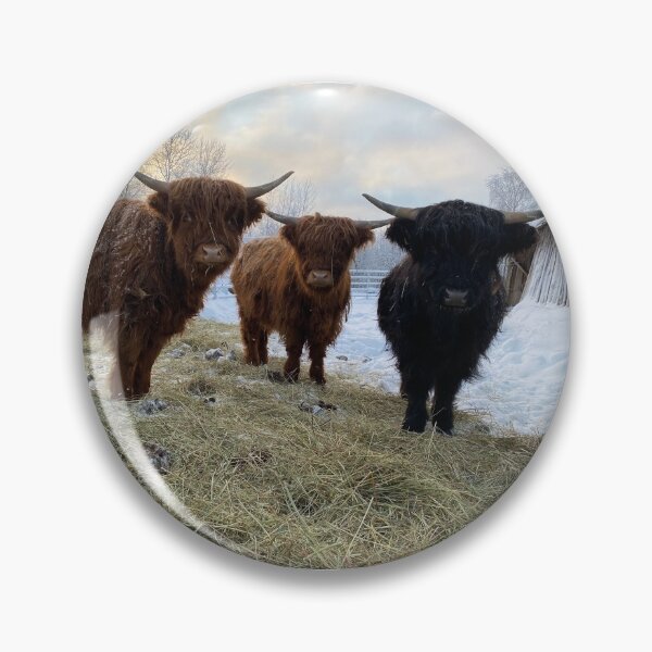 Artikelvorschau, Scottish Highland Cattle Calves 3143 entworfen und verkauft von SaarelaHighland.
