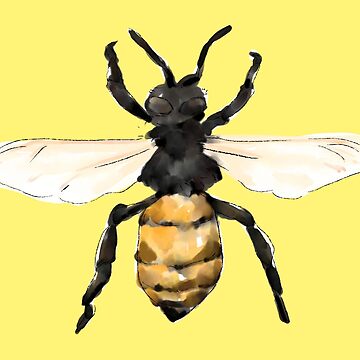 Artwork thumbnail, Honey Bee by ddanyen