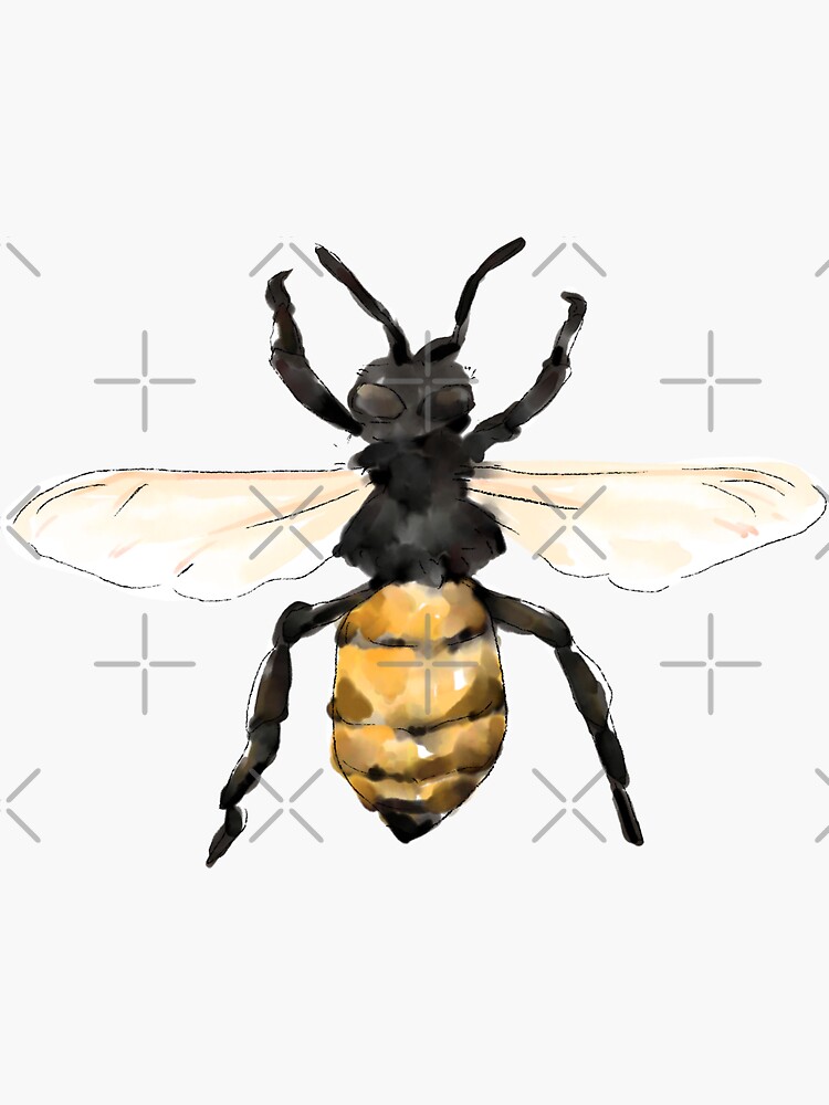 Thumbnail 3 of 3, Sticker, Honey Bee designed and sold by ddanyen.