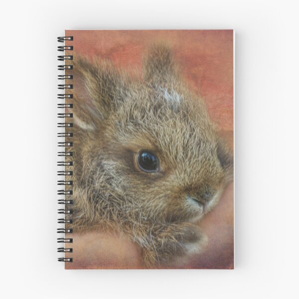 Item preview, Snowshoe Hare designed and sold by kayzsqrlz.