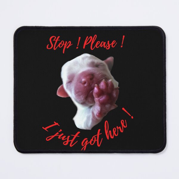 Item preview, Stop Please I just got Here designed and sold by schmerkers.