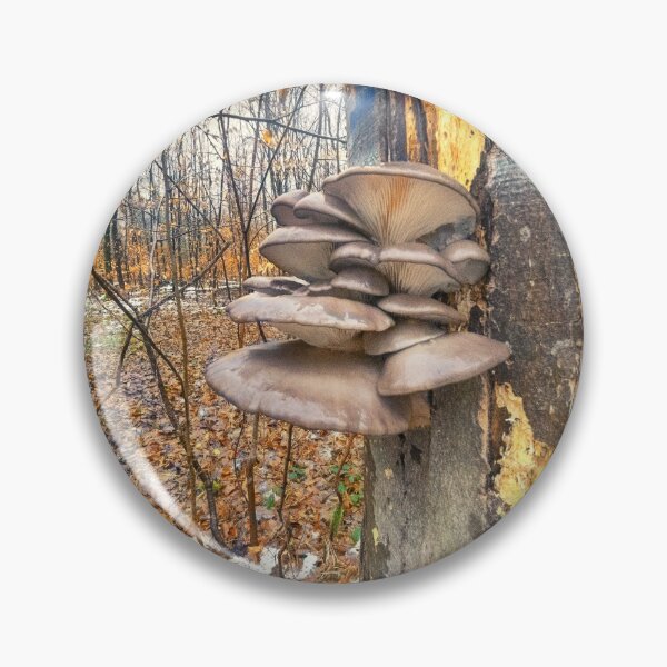 Item preview, Winter mushrooms designed and sold by Ingo Menhard.