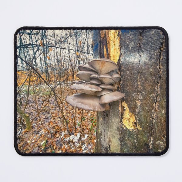 Item preview, Winter mushrooms designed and sold by Ingo Menhard.