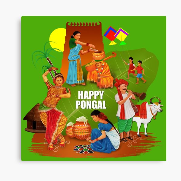 Thai Pongal Makar Sankranti Wish , pongal festival with cow transparent  background PNG clipart | HiClipart