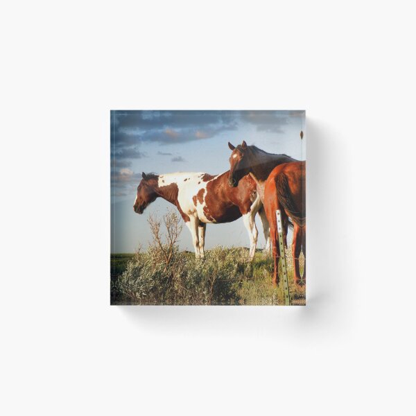 Item preview, Horse of a Different Color designed and sold by kayzsqrlz.