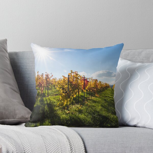 Aperçu de l'œuvre Vineyard créée et vendue par Walter Quirtmair.