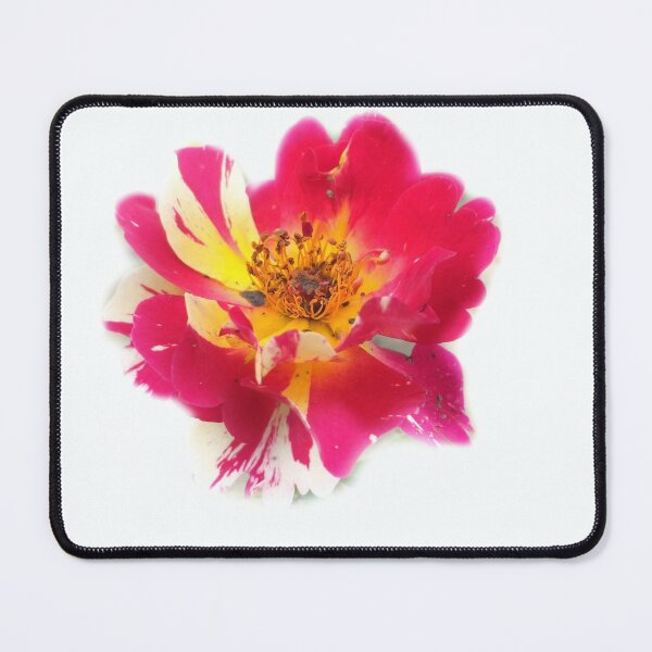 Item preview, Red Rose flower designed and sold by Akashdigiart.
