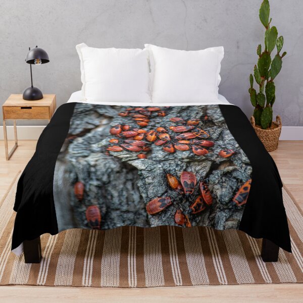 Item preview, Beetles designed and sold by Martulia.