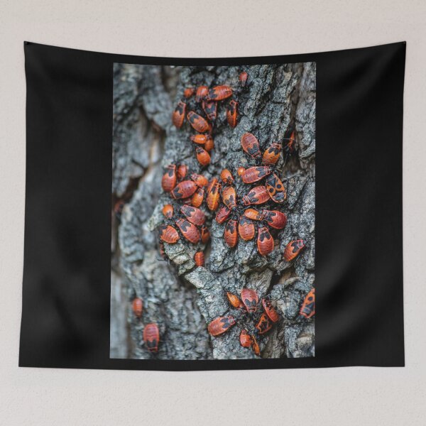 Item preview, Beetles designed and sold by Martulia.