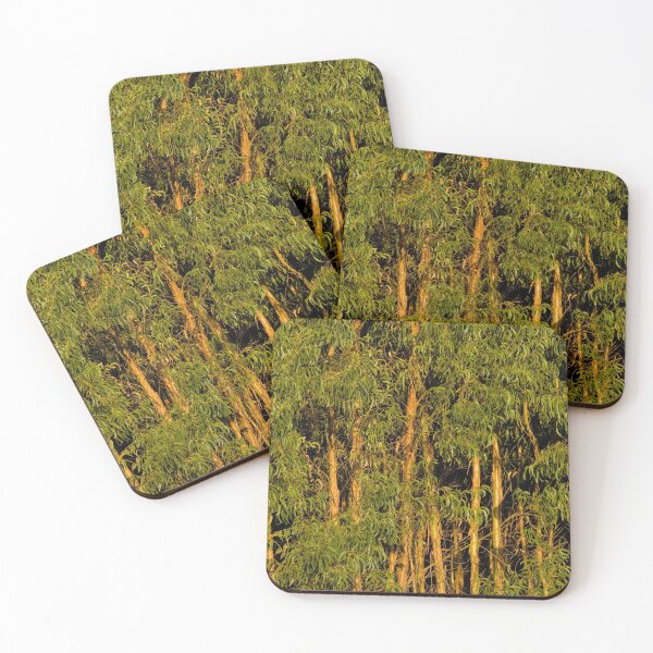 Item preview, Eucalyptus Trees Forest. Monchique designed and sold by AngeloDeVal.