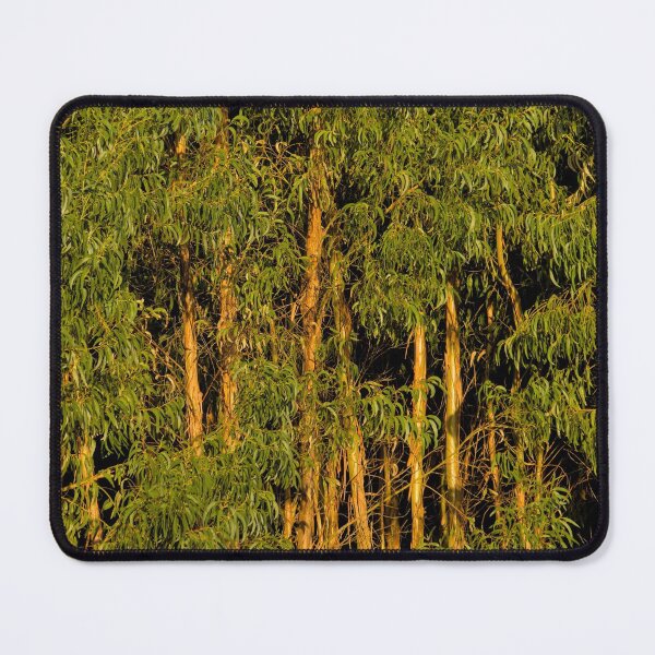 Item preview, Eucalyptus Trees Forest. Monchique designed and sold by AngeloDeVal.