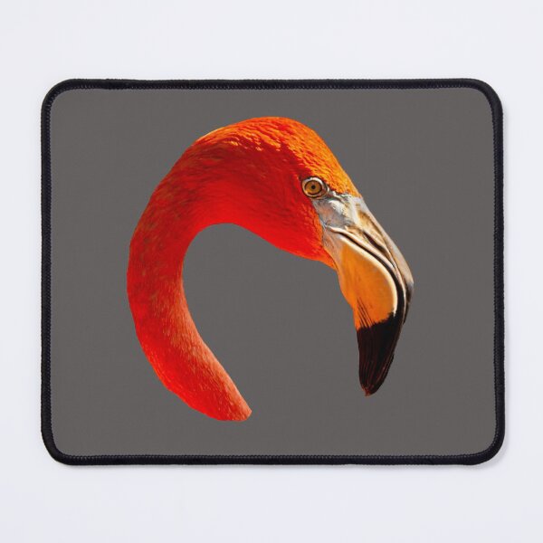 Item preview, Caribbean Flamingo  designed and sold by Dalyndigital Photography.
