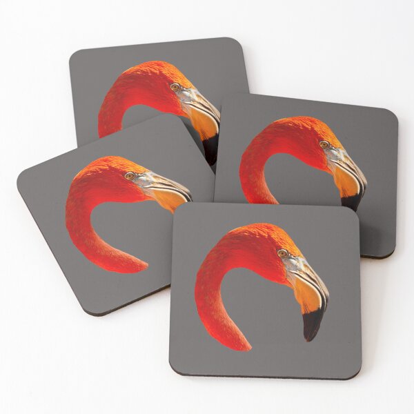 Item preview, Caribbean Flamingo  designed and sold by Dalyndigital Photography.
