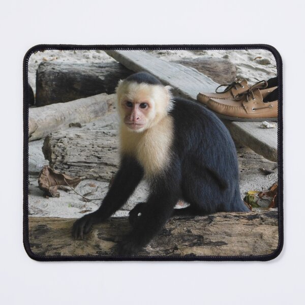 Item preview, Sitting Monkey designed and sold by Matt Niichel.
