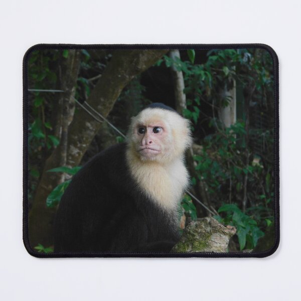 Item preview, Angry Monkey designed and sold by Matt Niichel.