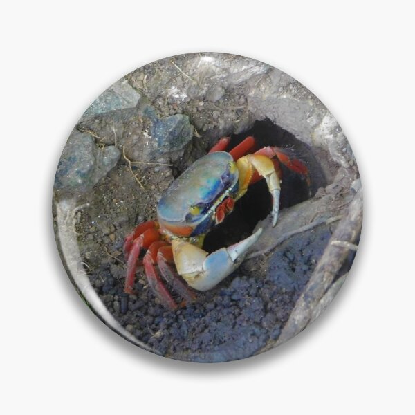 Item preview, A Crab designed and sold by Matt Niichel.