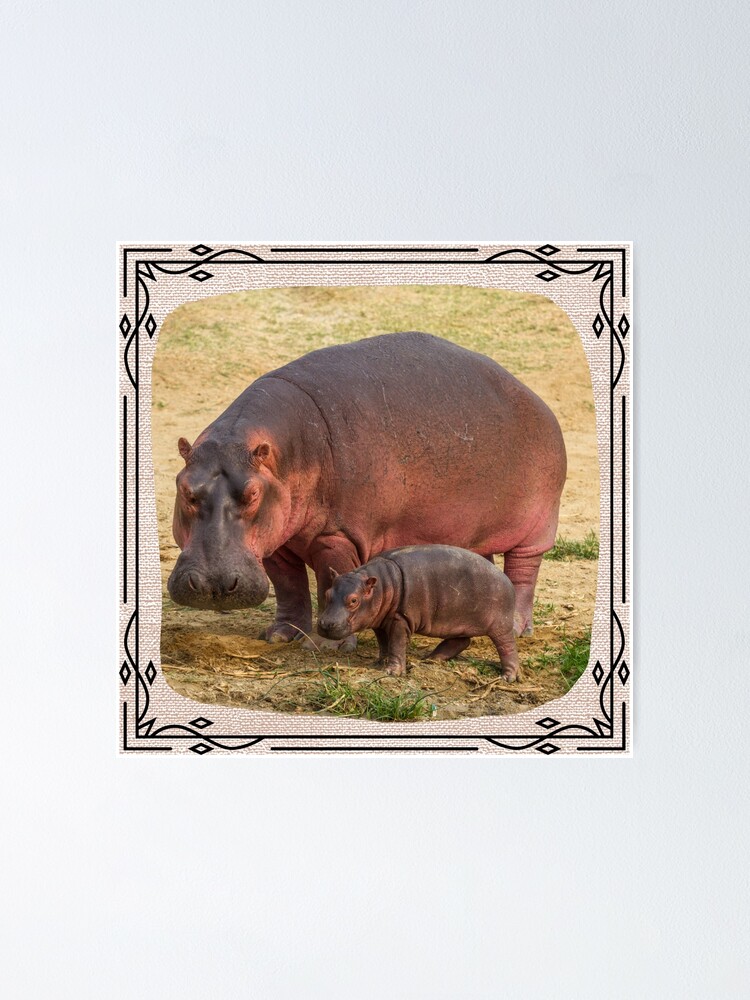 Handmade Wildlife Greetings Card - New Baby Hippos Handmade Wildlife Greetings Card - New Baby Hippos