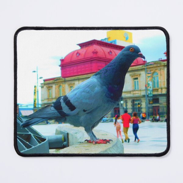 Item preview, Large Pigeon designed and sold by Matt Niichel.