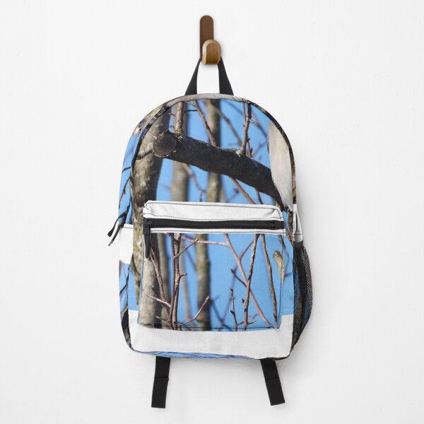 Item preview, A Blue Jay Bird Resting in a Crab Apple Tree in Winter Front View designed and sold by McFleur's Lens.