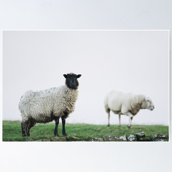 Item preview, Harshness of winter on the moors designed and sold by PhotoTiphaine.