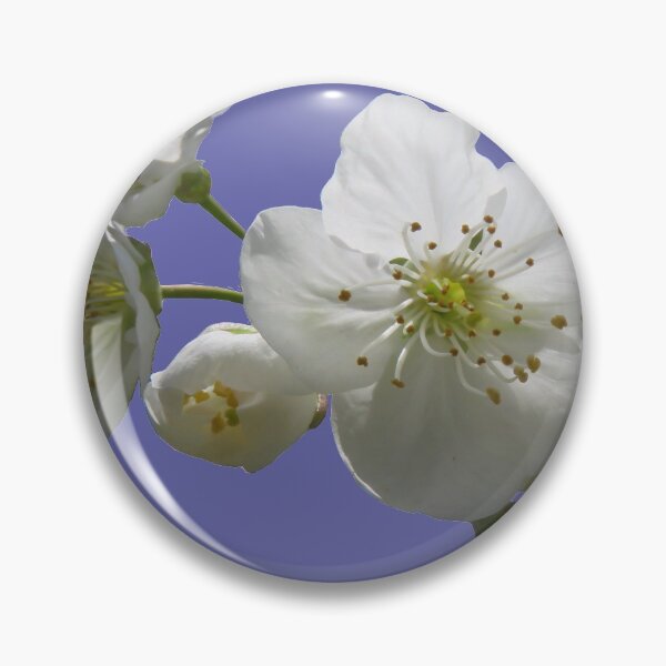 Item preview, cherries in blosssom on ultra violet designed and sold by AHELENE.