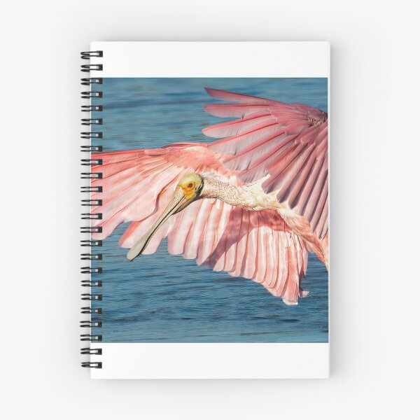 Item preview, Roseate spoonbill designed and sold by Joe Saladino.