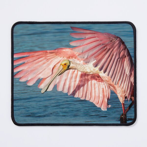 Item preview, Roseate spoonbill designed and sold by Joe Saladino.
