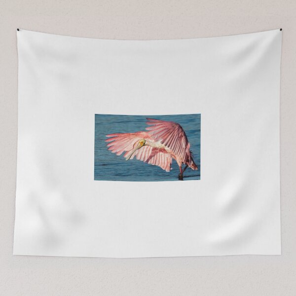 Item preview, Roseate spoonbill designed and sold by Joe Saladino.