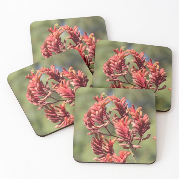 Item preview, Kangaroo Paw designed and sold by irened71.