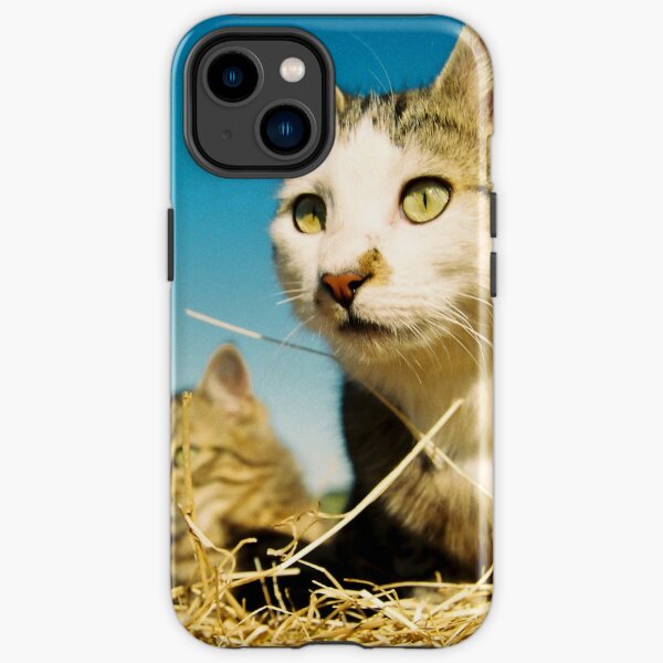 Fat Cat and Tigga iPhone Tough Case