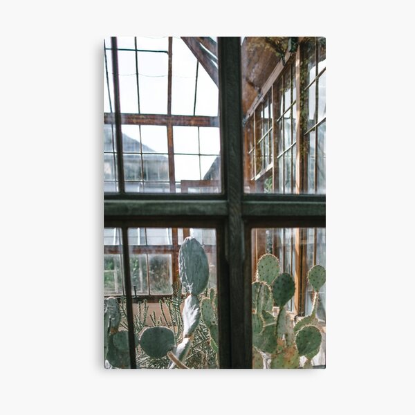 Greenhouse Window II | Nature and Landscape Photography Canvas Print