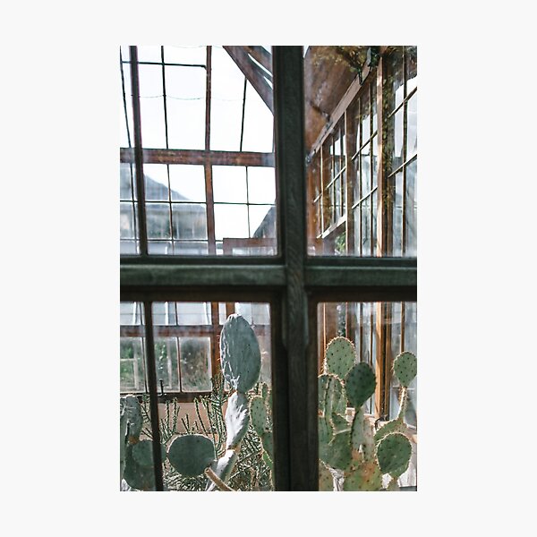 Greenhouse Window II | Nature and Landscape Photography Photographic Print