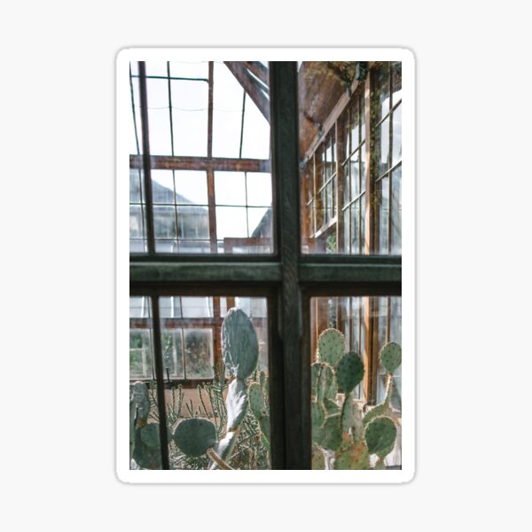 Greenhouse Window II | Nature and Landscape Photography Sticker