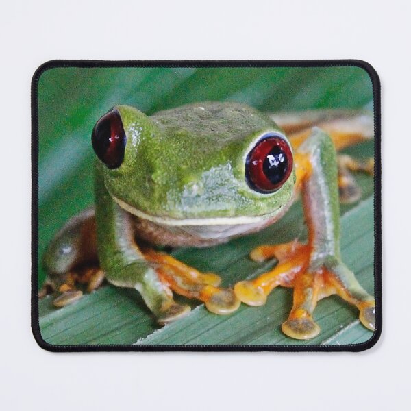 Item preview, Red Eyed Tree frog designed and sold by NaturePolarized.