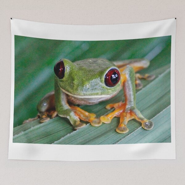 Item preview, Red Eyed Tree frog designed and sold by NaturePolarized.