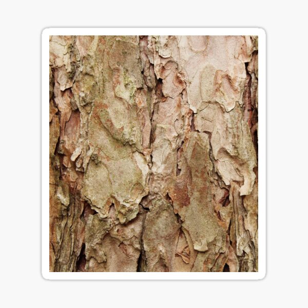 Tree Bark Pattern Sticker