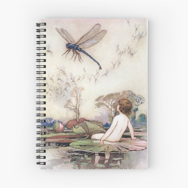 Item preview, Tom Meets the Dragonfly by Warwick Goble designed and sold by vintage-art.