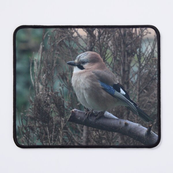 Item preview, Blue feathers designed and sold by Thea 65.
