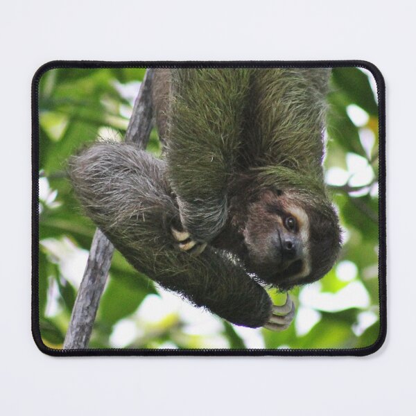 Item preview, Do not worry I am awake - 3 Fingered Slot designed and sold by NaturePolarized.