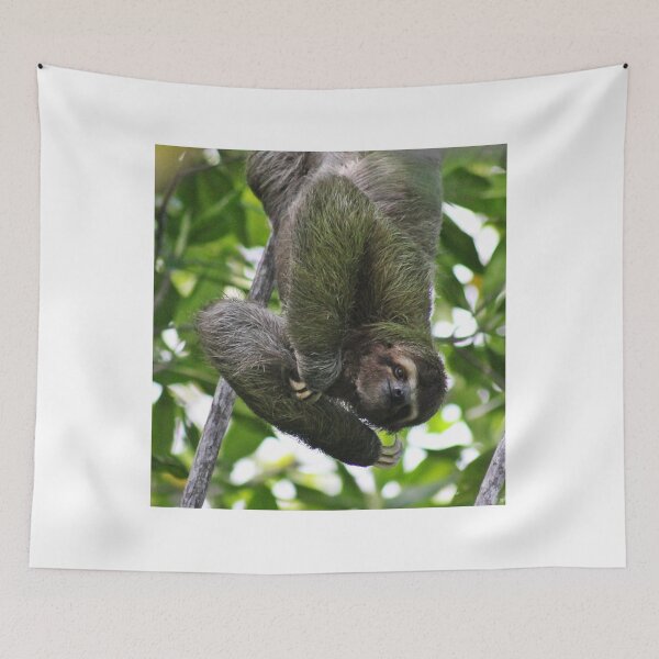 Item preview, Do not worry I am awake - 3 Fingered Slot designed and sold by NaturePolarized.
