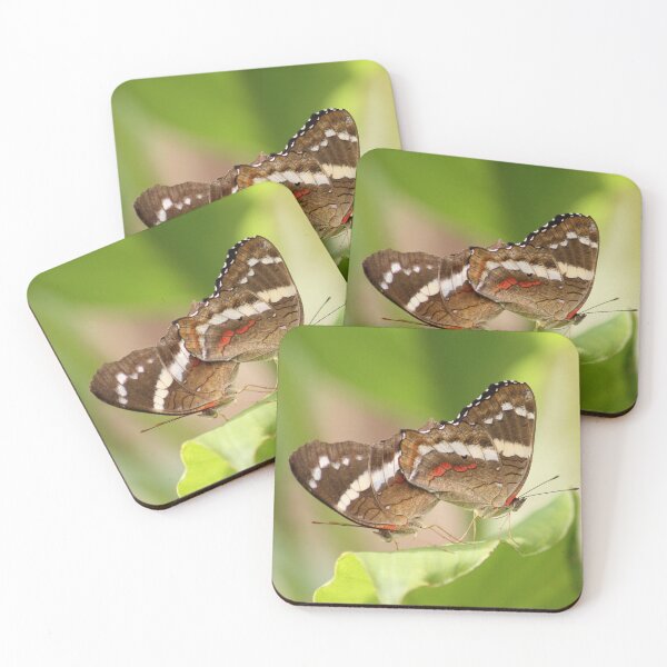 Item preview, Anartia Fatima Butterfly pairing designed and sold by NaturePolarized.